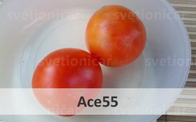 ace55