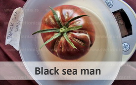 Black sea man