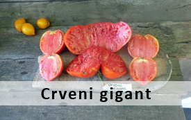 crveni gigant