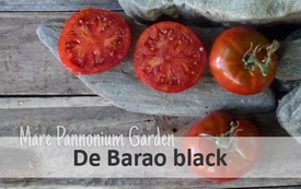 de barao black