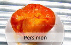 persimon